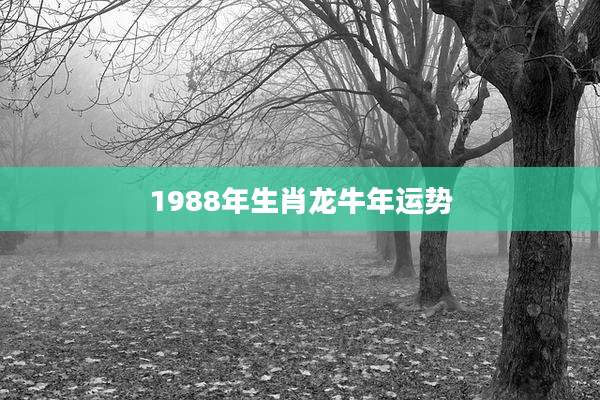 1988年生肖龙牛年运势