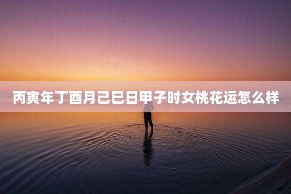 丙寅年丁酉月己巳日甲子时女桃花运怎么样