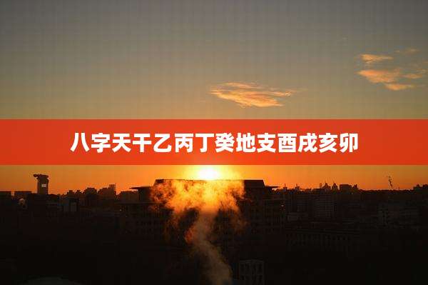 八字天干乙丙丁癸地支酉戌亥卯