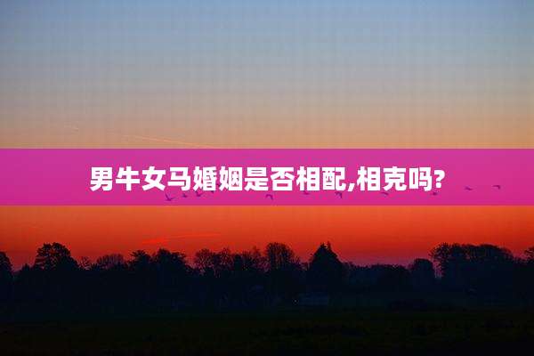 男牛女马婚姻是否相配,相克吗?