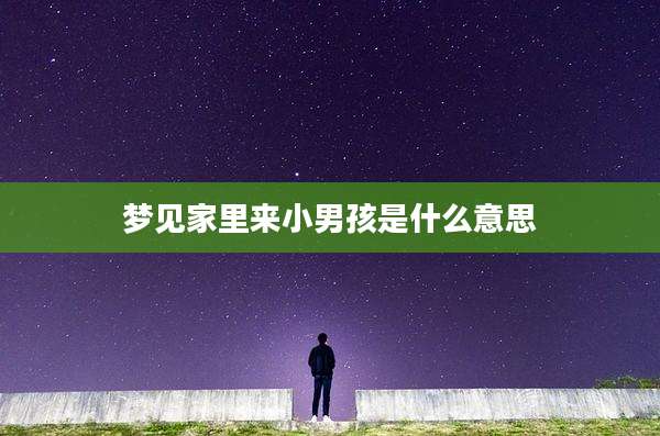 梦见家里来小男孩是什么意思