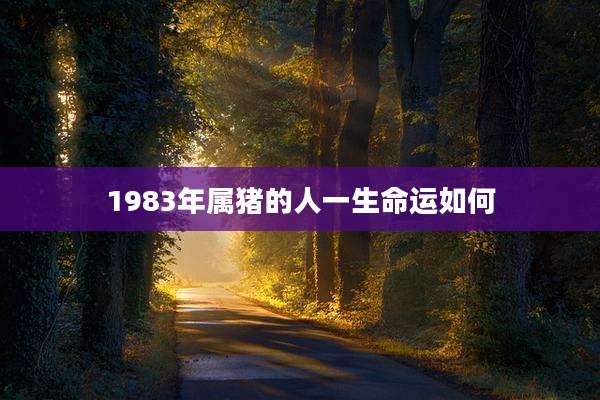 1983年属猪的人一生命运如何