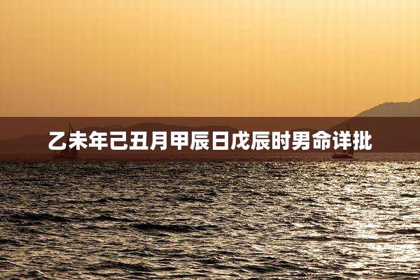 乙未年己丑月甲辰日戊辰时男命详批