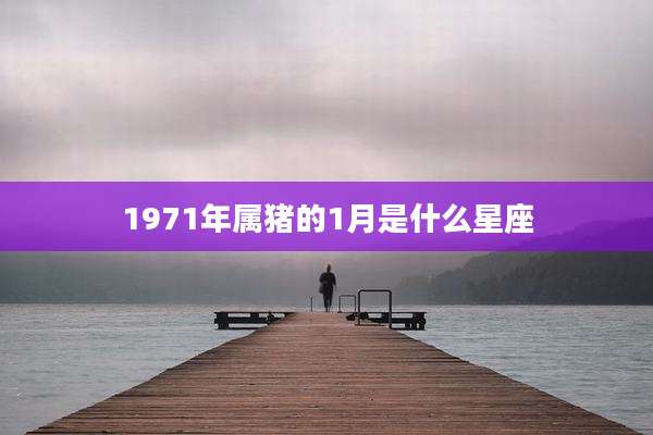 1971年属猪的1月是什么星座