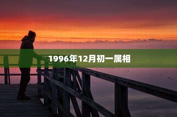 1996年12月初一属相