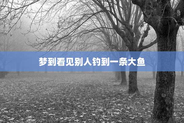 梦到看见别人钓到一条大鱼