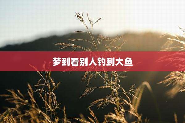 梦到看别人钓到大鱼