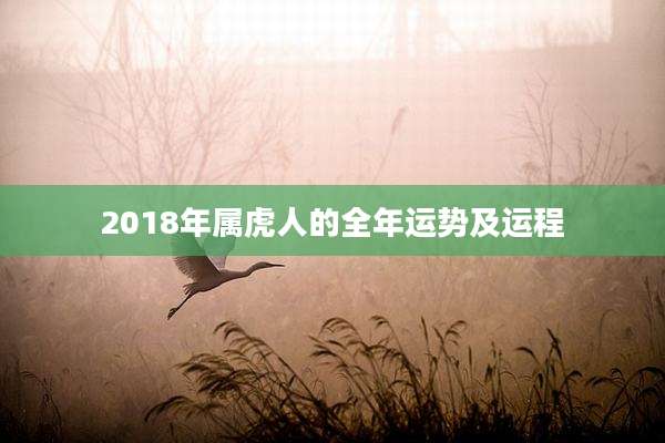 2018年属虎人的全年运势及运程