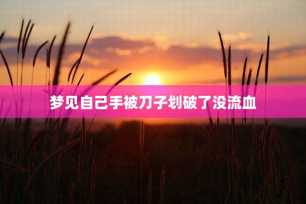 梦见自己手被刀子划破了没流血