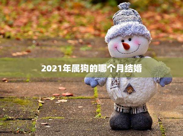 2021年属狗的哪个月结婚