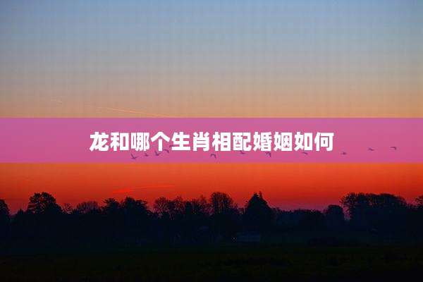 龙和哪个生肖相配婚姻如何