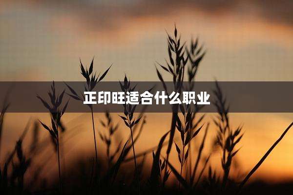 正印旺适合什么职业