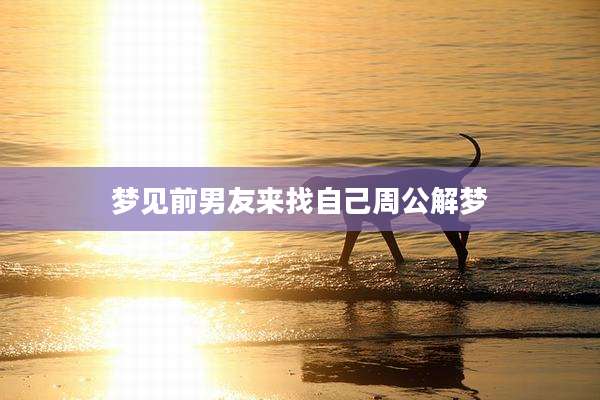梦见前男友来找自己周公解梦