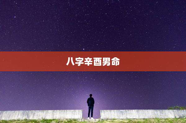 八字辛酉男命