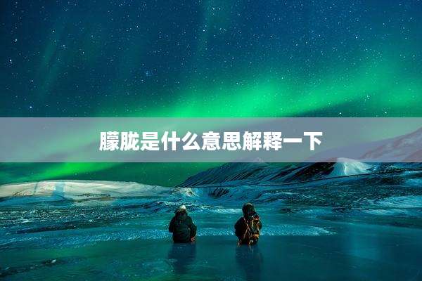 朦胧是什么意思解释一下