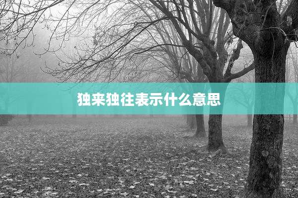 独来独往表示什么意思