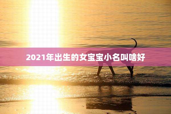 2021年出生的女宝宝小名叫啥好