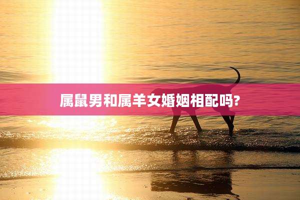属鼠男和属羊女婚姻相配吗?