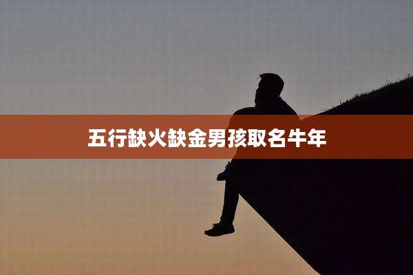 五行缺火缺金男孩取名牛年
