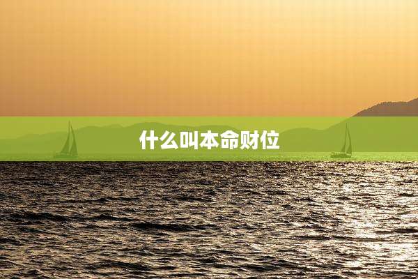 什么叫本命财位