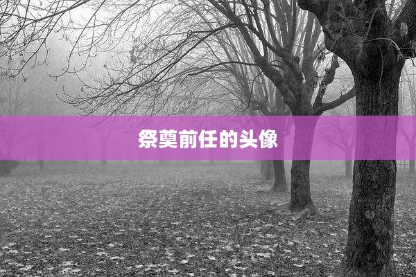 祭奠前任的头像