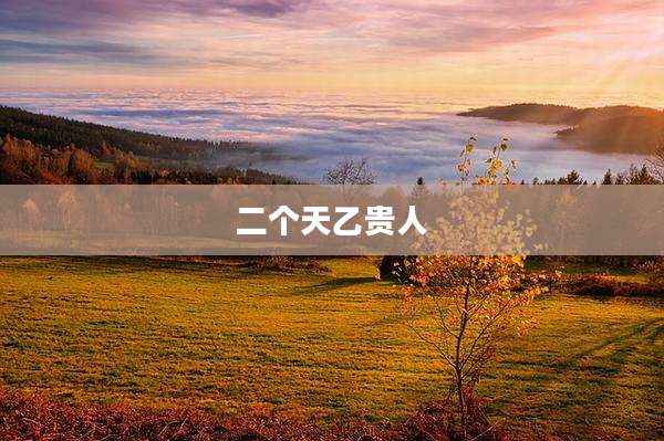 二个天乙贵人