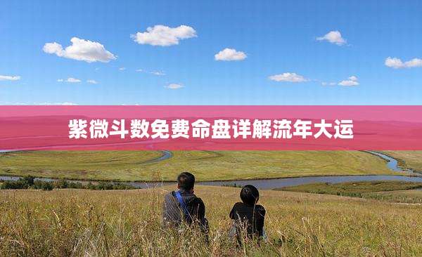 紫微斗数免费命盘详解流年大运