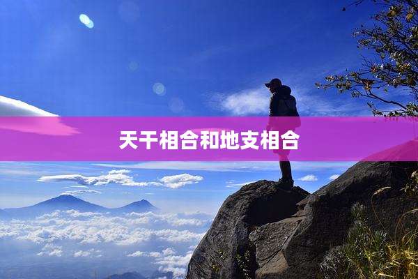 天干相合和地支相合