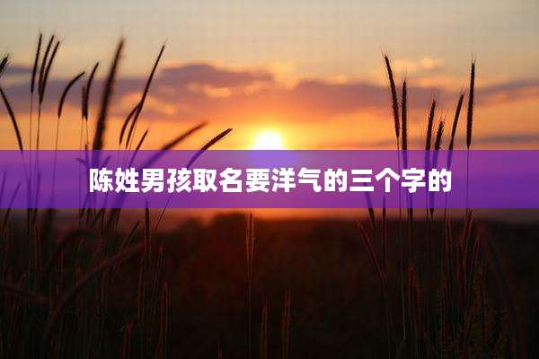 陈姓男孩取名要洋气的三个字的