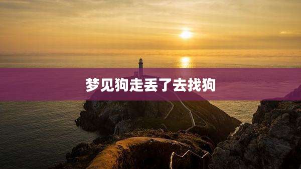 梦见狗走丢了去找狗