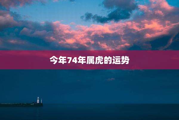 今年74年属虎的运势