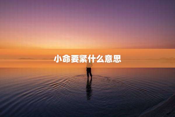小命要紧什么意思