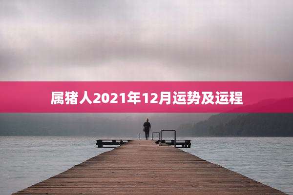 属猪人2021年12月运势及运程