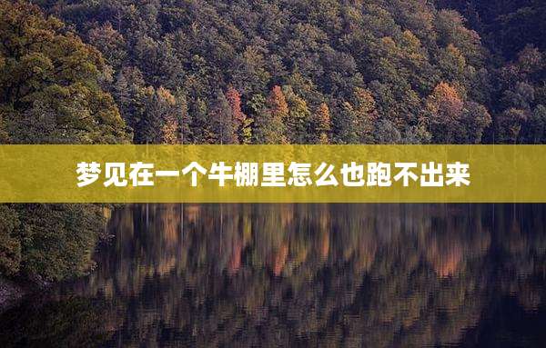 梦见在一个牛棚里怎么也跑不出来