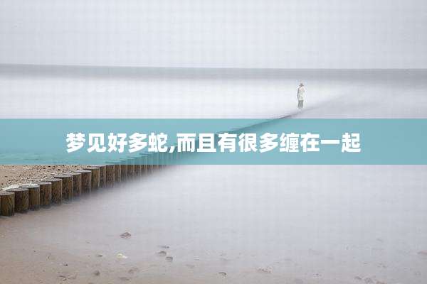 梦见好多蛇,而且有很多缠在一起