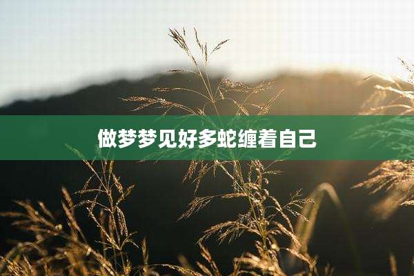 做梦梦见好多蛇缠着自己