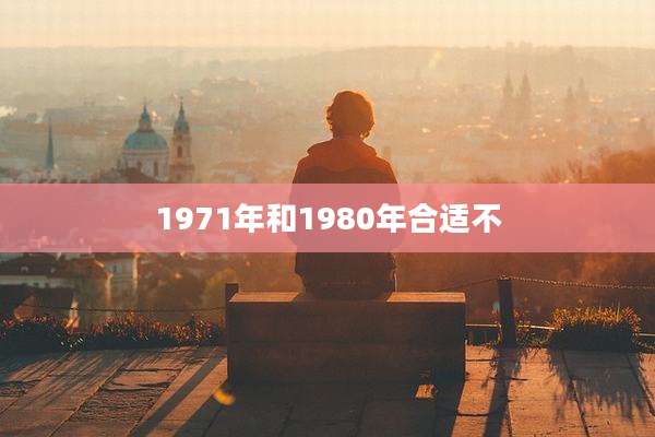 1971年和1980年合适不