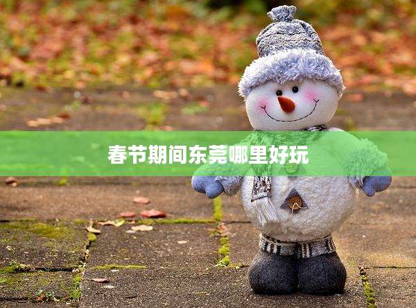 春节期间东莞哪里好玩