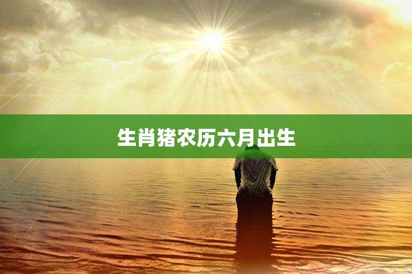 生肖猪农历六月出生