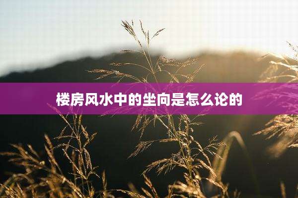 楼房风水中的坐向是怎么论的