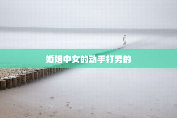 婚姻中女的动手打男的