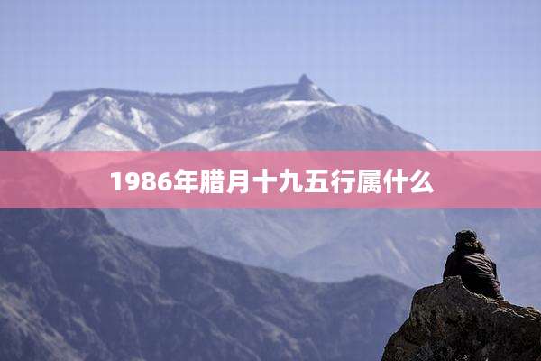 1986年腊月十九五行属什么