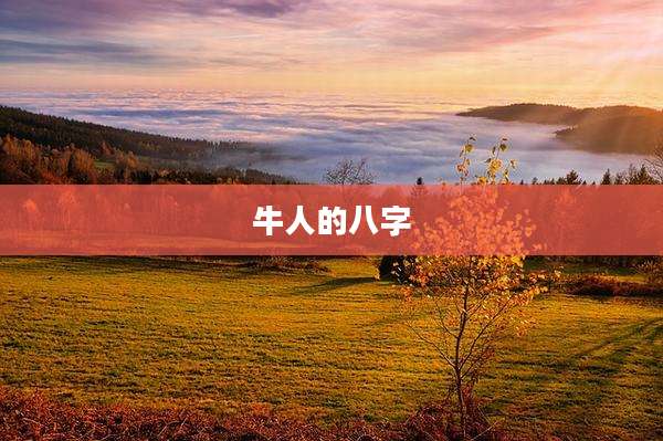牛人的八字