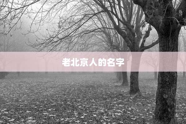 老北京人的名字