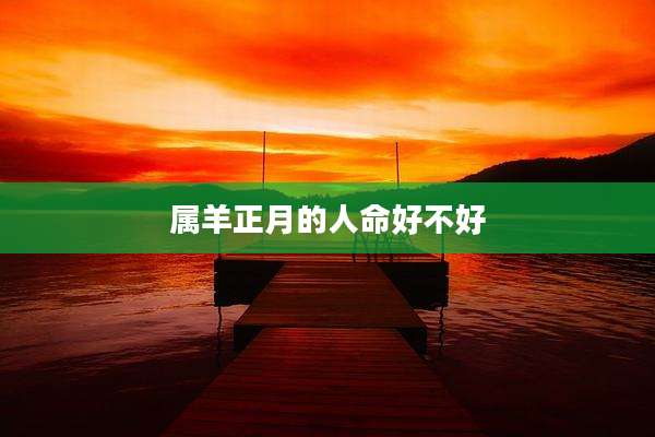 属羊正月的人命好不好