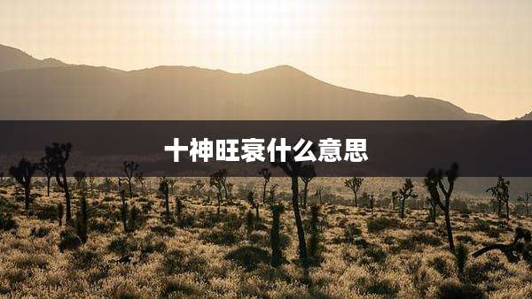 十神旺衰什么意思