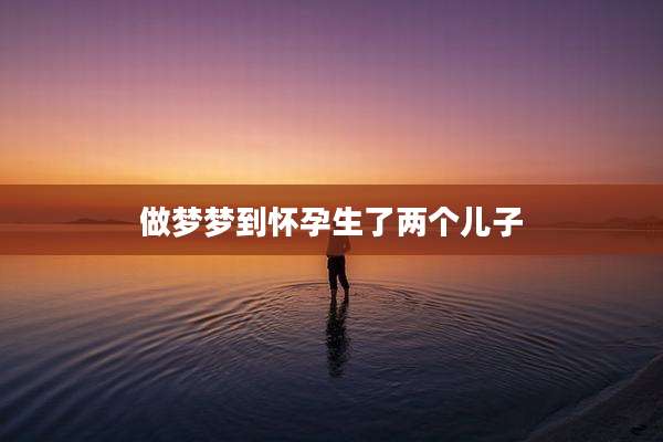 做梦梦到怀孕生了两个儿子