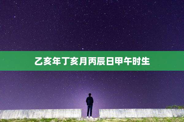 乙亥年丁亥月丙辰日甲午时生