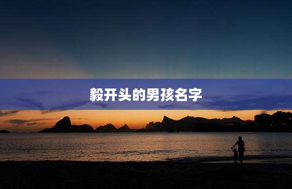 毅开头的男孩名字
