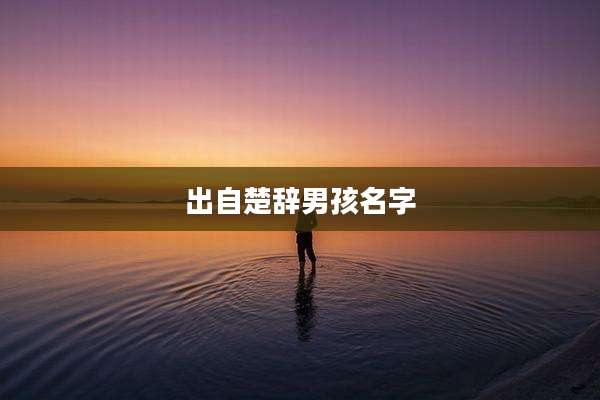 出自楚辞男孩名字
